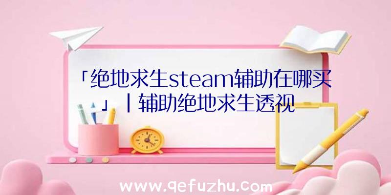 「绝地求生steam辅助在哪买」|辅助绝地求生透视